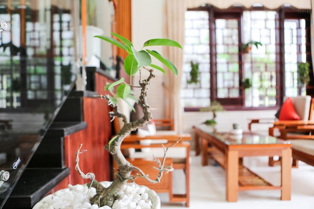 הוי אן Viet Nhat Homestay מראה חיצוני תמונה